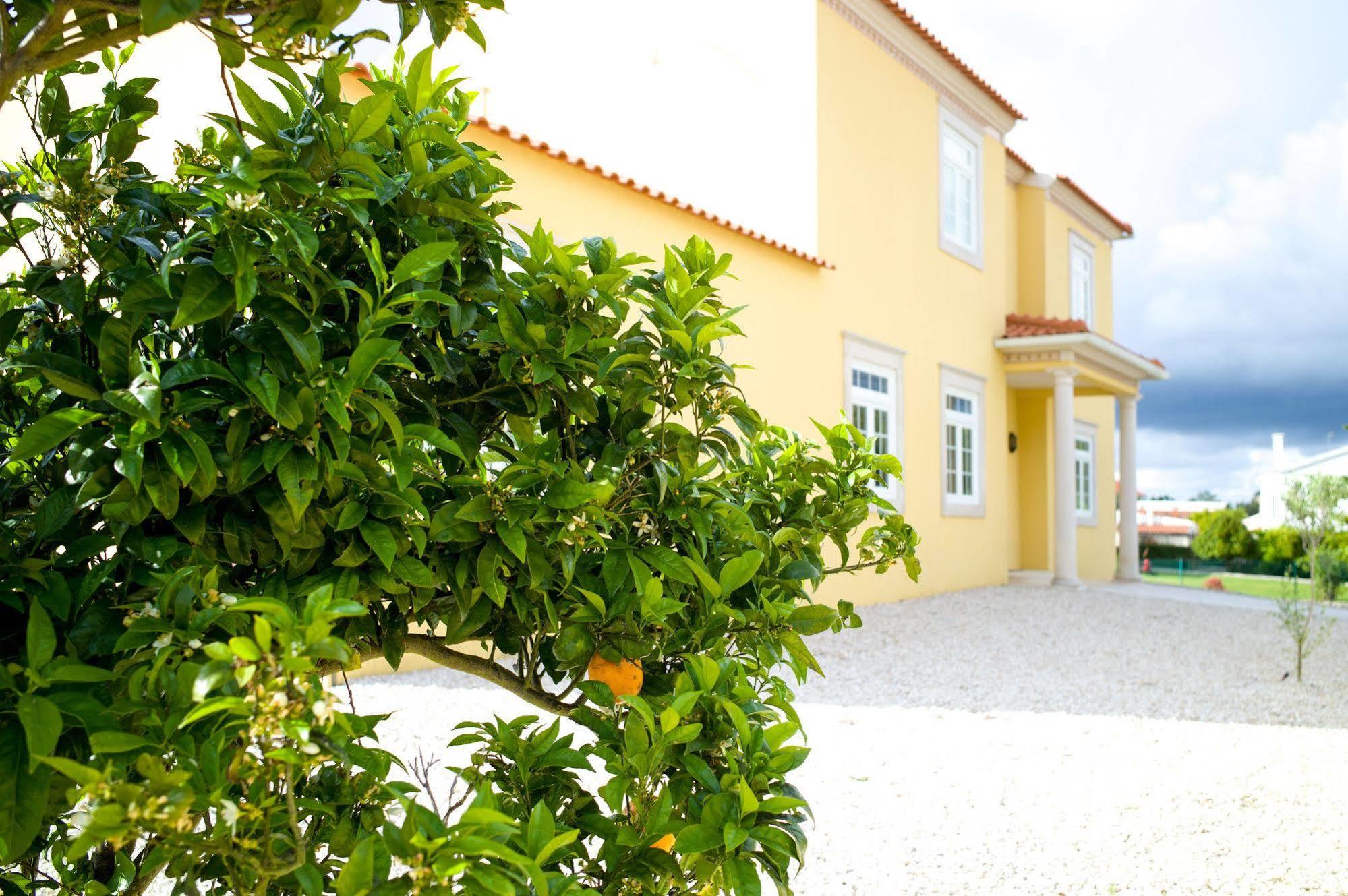 กาซา เปดรา โนเบร Bed & Breakfast Nadadouro ภายนอก รูปภาพ