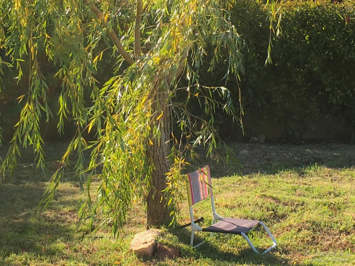 กาซา เปดรา โนเบร Bed & Breakfast Nadadouro ภายนอก รูปภาพ